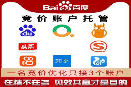 百度推广费用策略在竞争激烈市场的应用案例